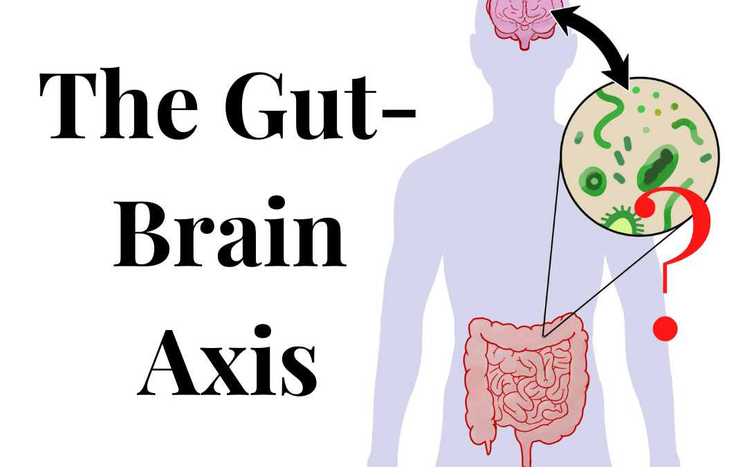 Understanding Your Gut-Brain Axis