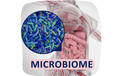 Let’s Talk Microbiome Basics