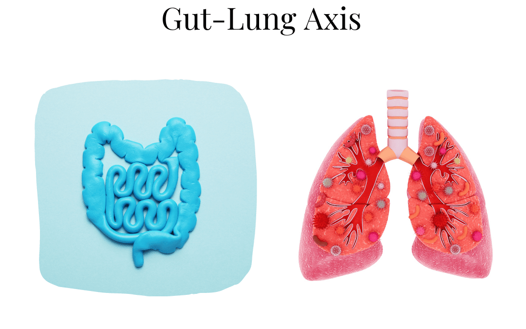 GUT-LUNG AXIS