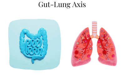GUT-LUNG AXIS