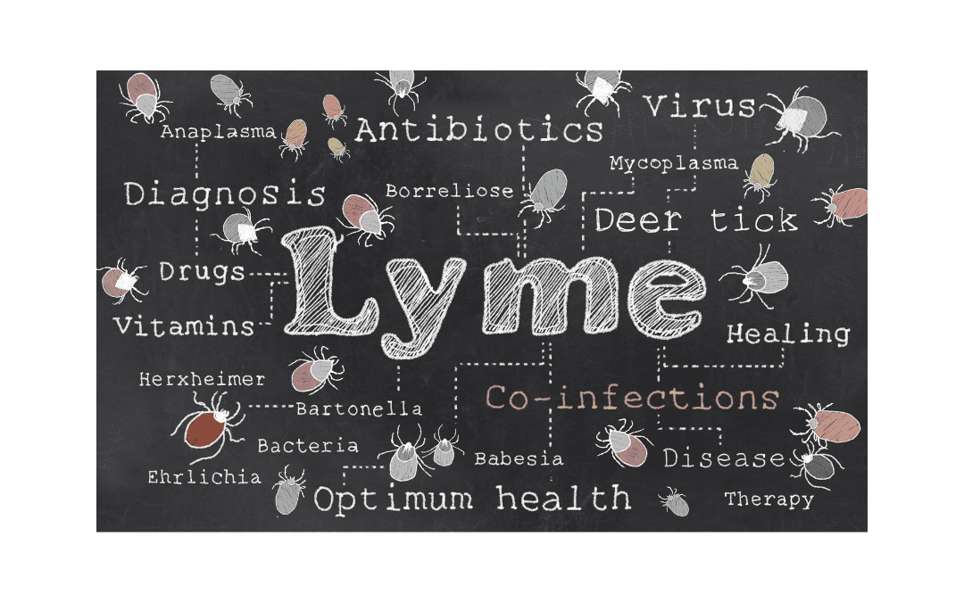 Lyme Disease:  Why is it so challenging to treat?