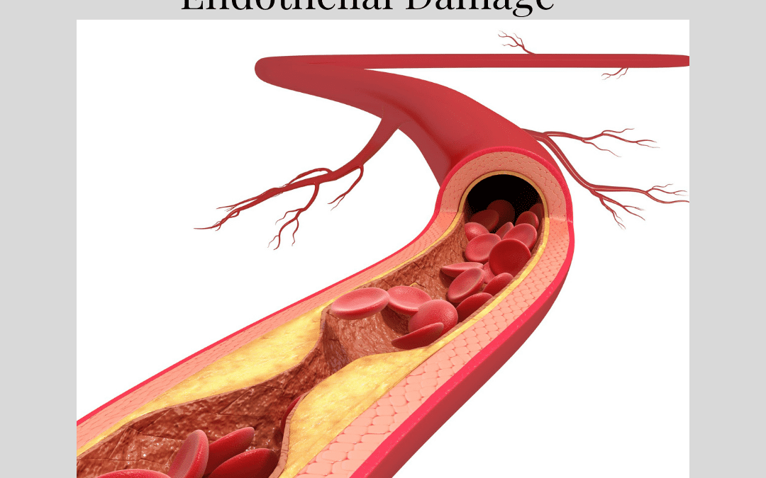 Endothelial Damage – Why You Should Be Concerned – Especially Now!