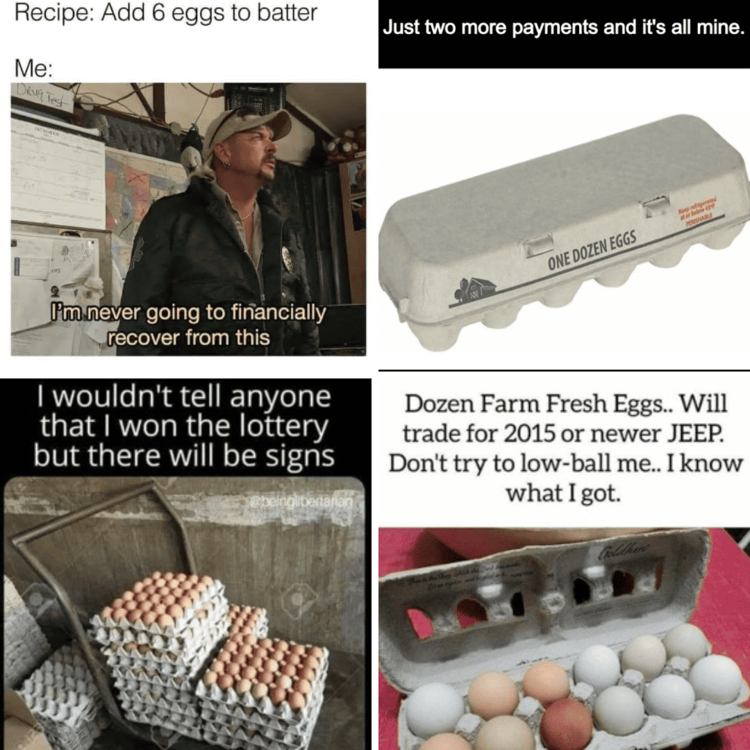 EggMemeCOmplete