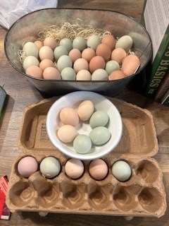 MyEggs