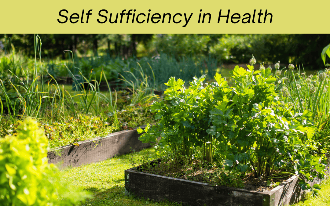 Self Sufficiency in Health – You Should Learn More About Yourself